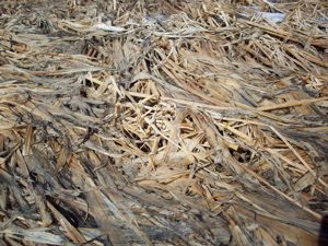 Oats-spr